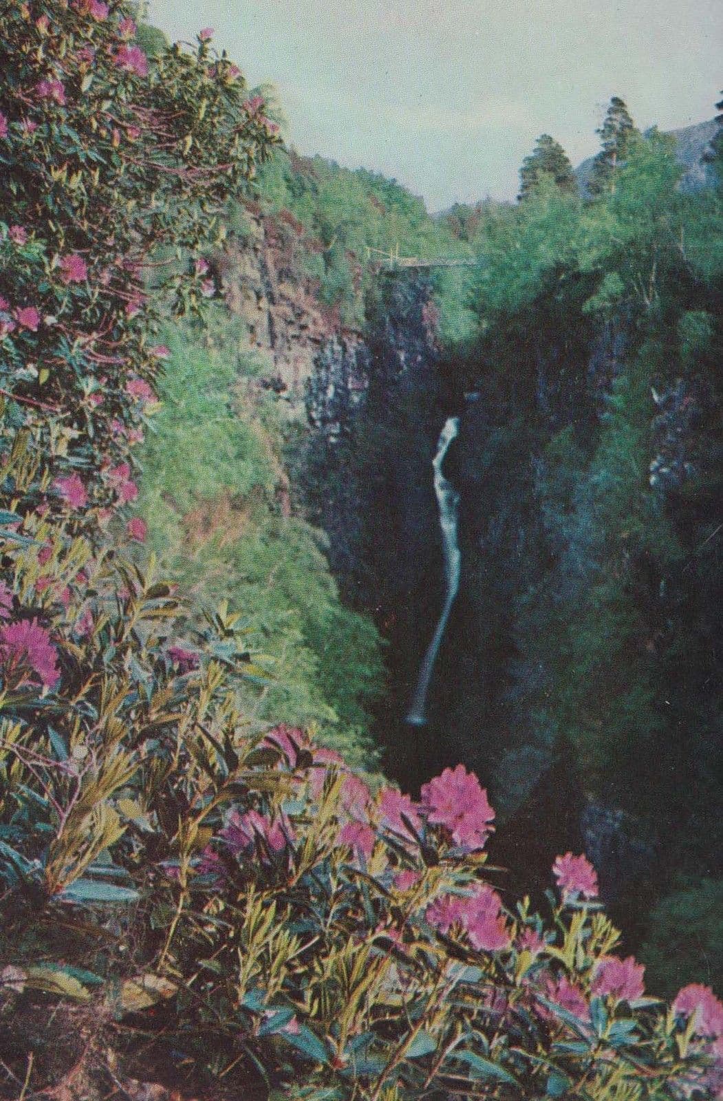 The Falls Of Measach Flowers Gorge Of Corrieshalloch Postcard
