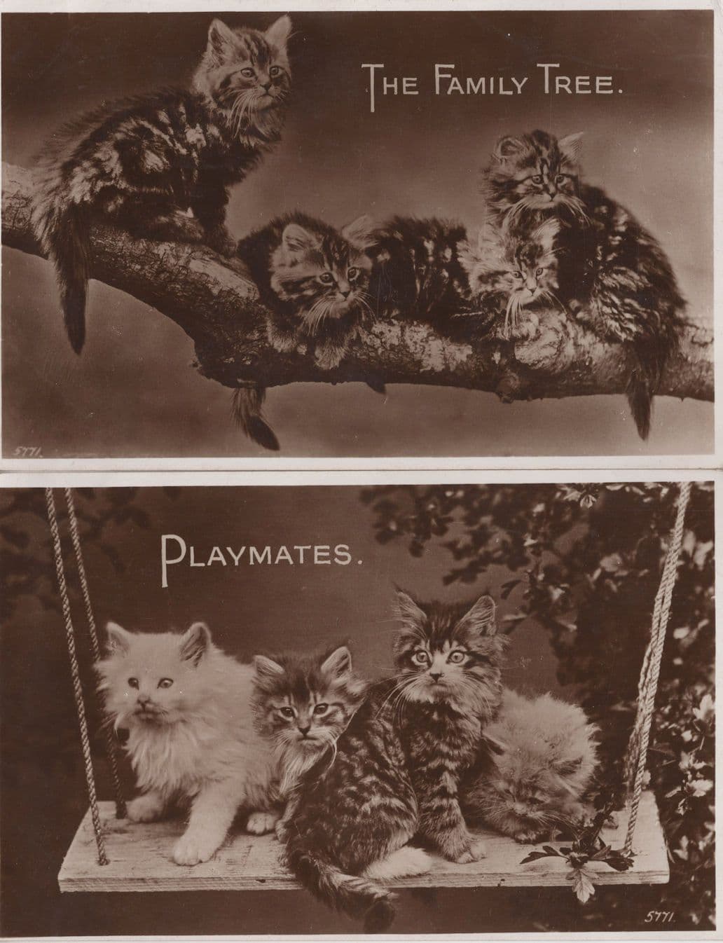 The Family Tree Playmates Valentines 2x Cats Kitten Swing Postcard