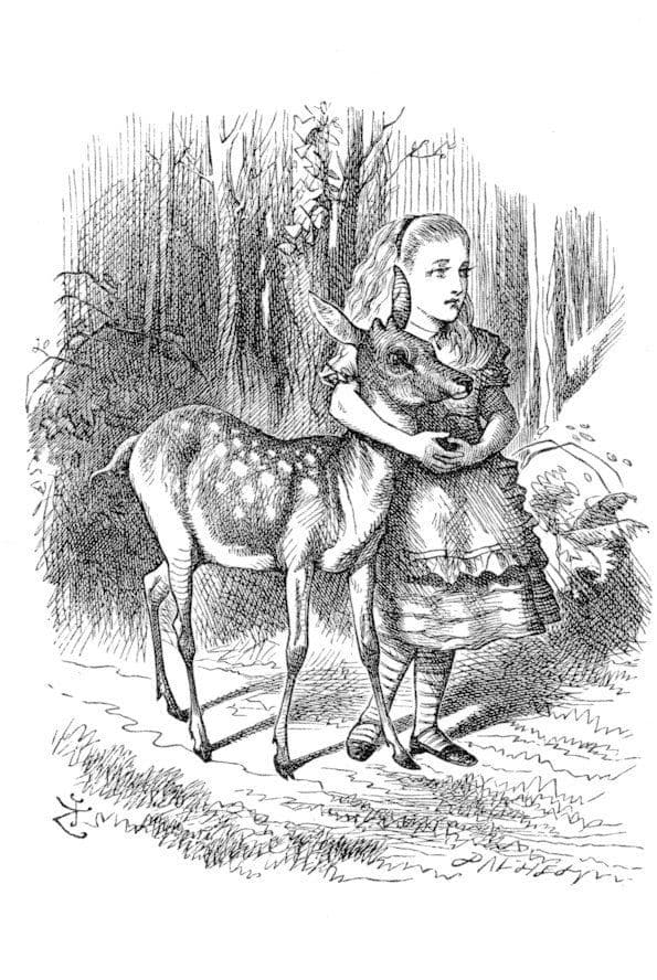 The Fawn Deer Alices Adventures In Wonderland Book Art Postcard
