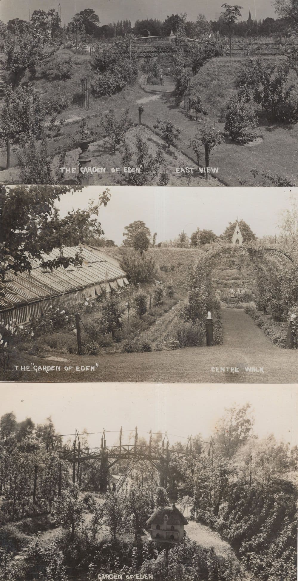 The Garden Of Eden 3x Real Photo Postcard s