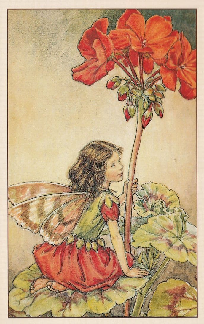 The Geranium Fairy Fairies from Vintage WW2 Book Postcard