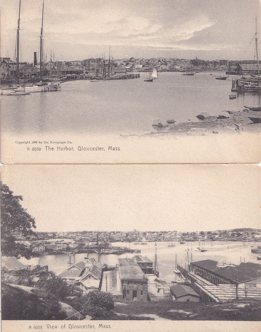The Harbor Gloucester Mass Massachusetts 2x Antique Postcard s