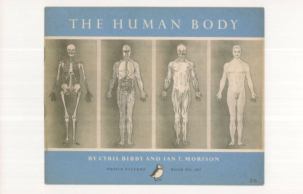 The Human Body Cyril Bibby 1955 Puffin Book Postcard