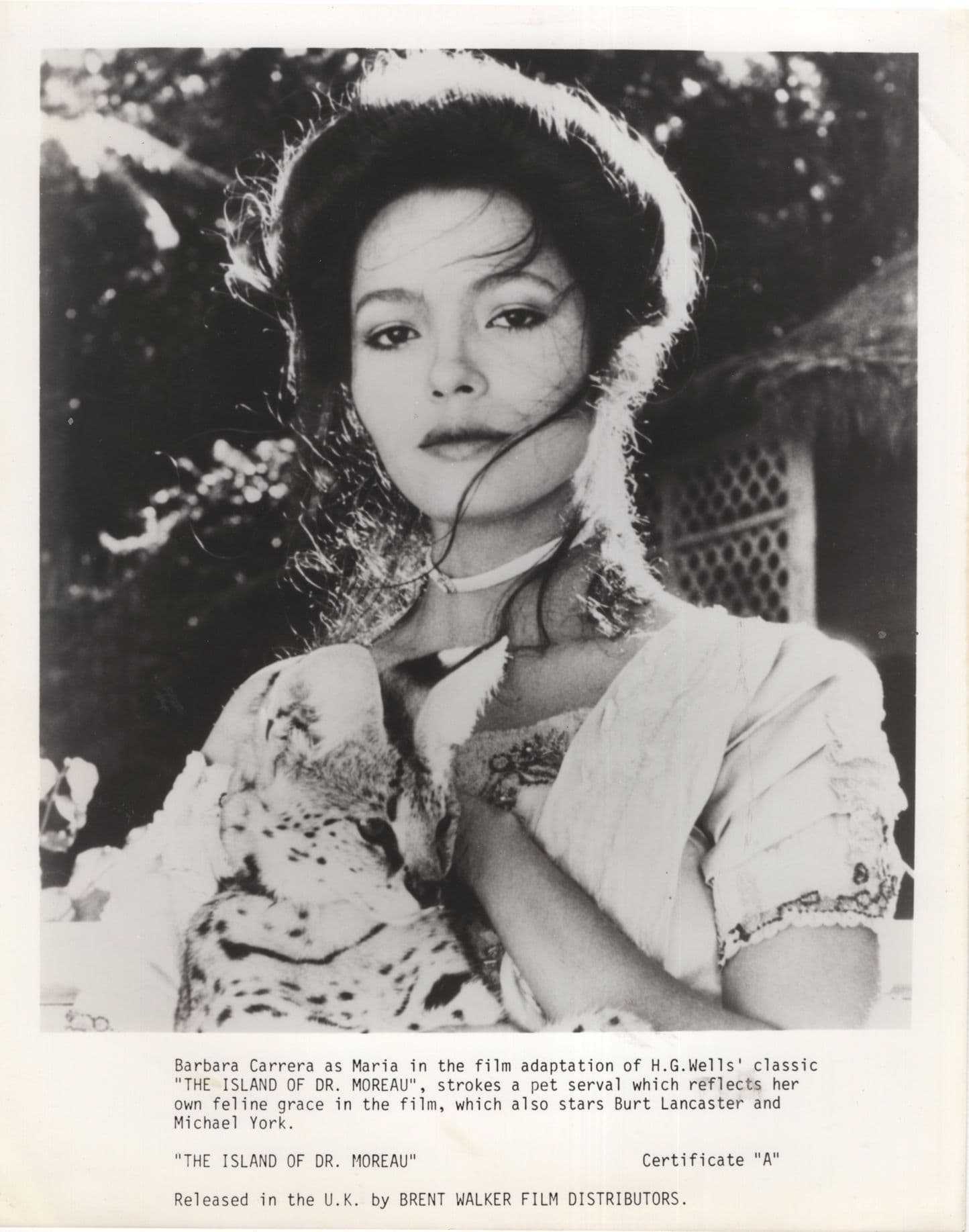 The Island Of Dr Moreau Film 10x8 Monochrome Publicity Photo