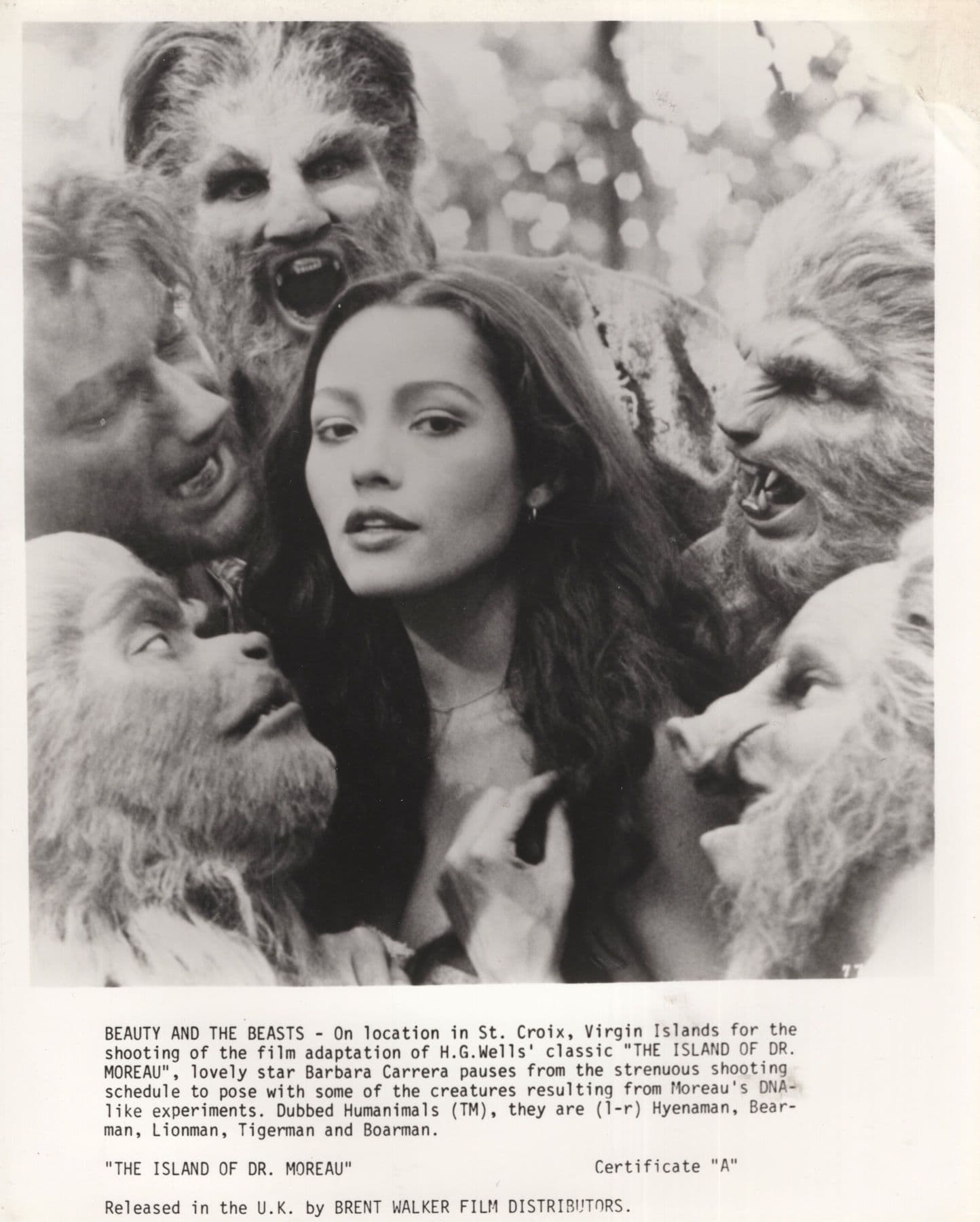 The Island Of Dr Moreau Orig Film Movie 10x8 Monochrome Publicity Photo