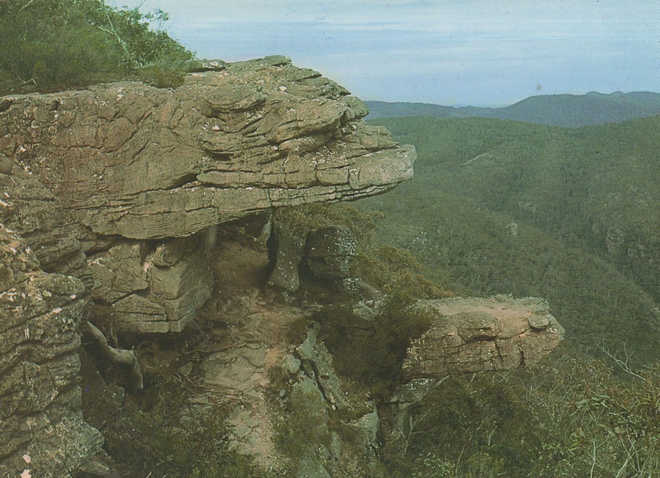 The Jaws Of Death Reptile Rocks Victoria Australia Postcard