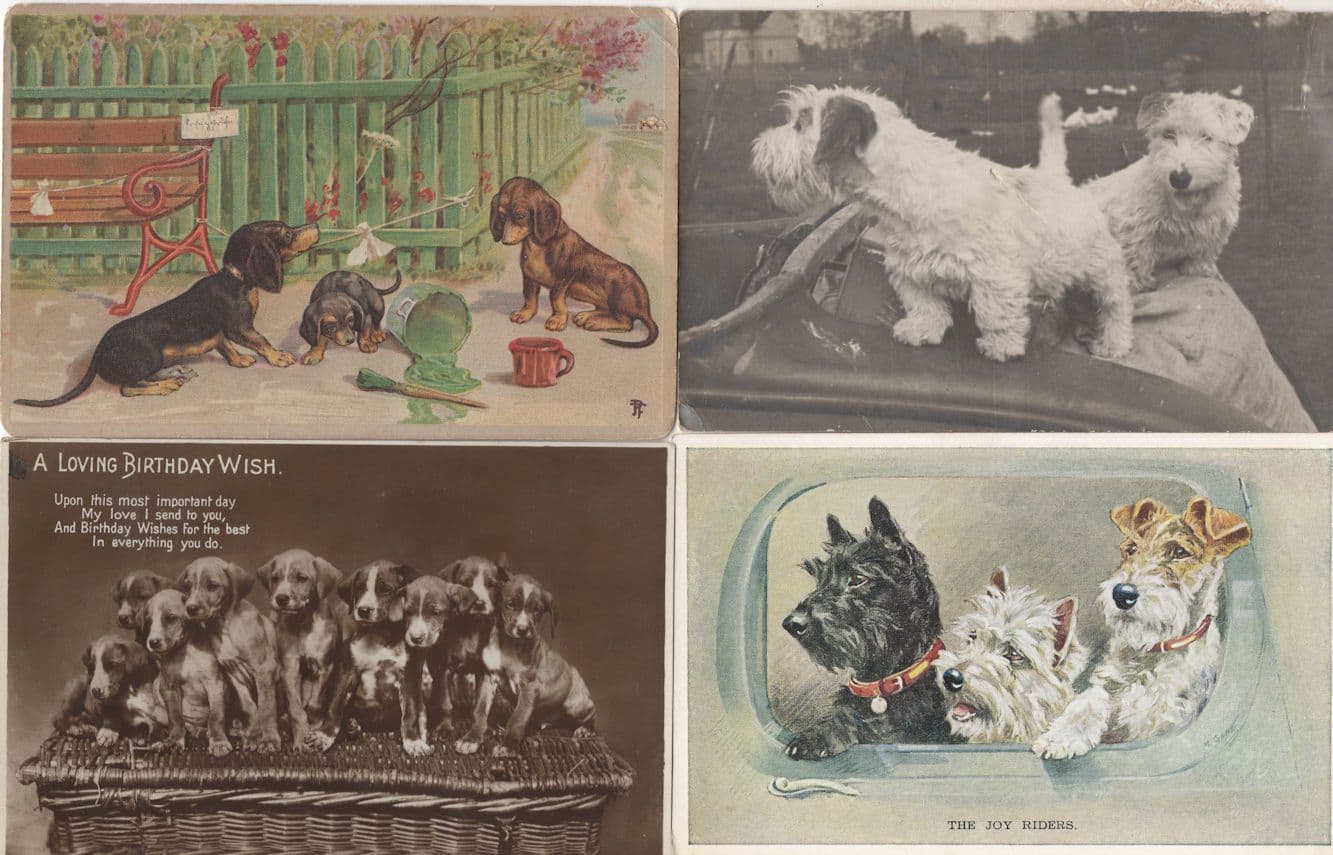 The Joy Riders Dogs Speeding in Classic Car 4x Old Dog Postcard