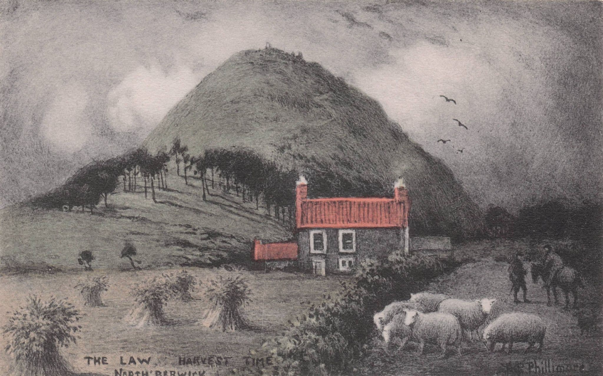 The Law Farm Harvest North Berwick Phillimore Scottish Old Postcard