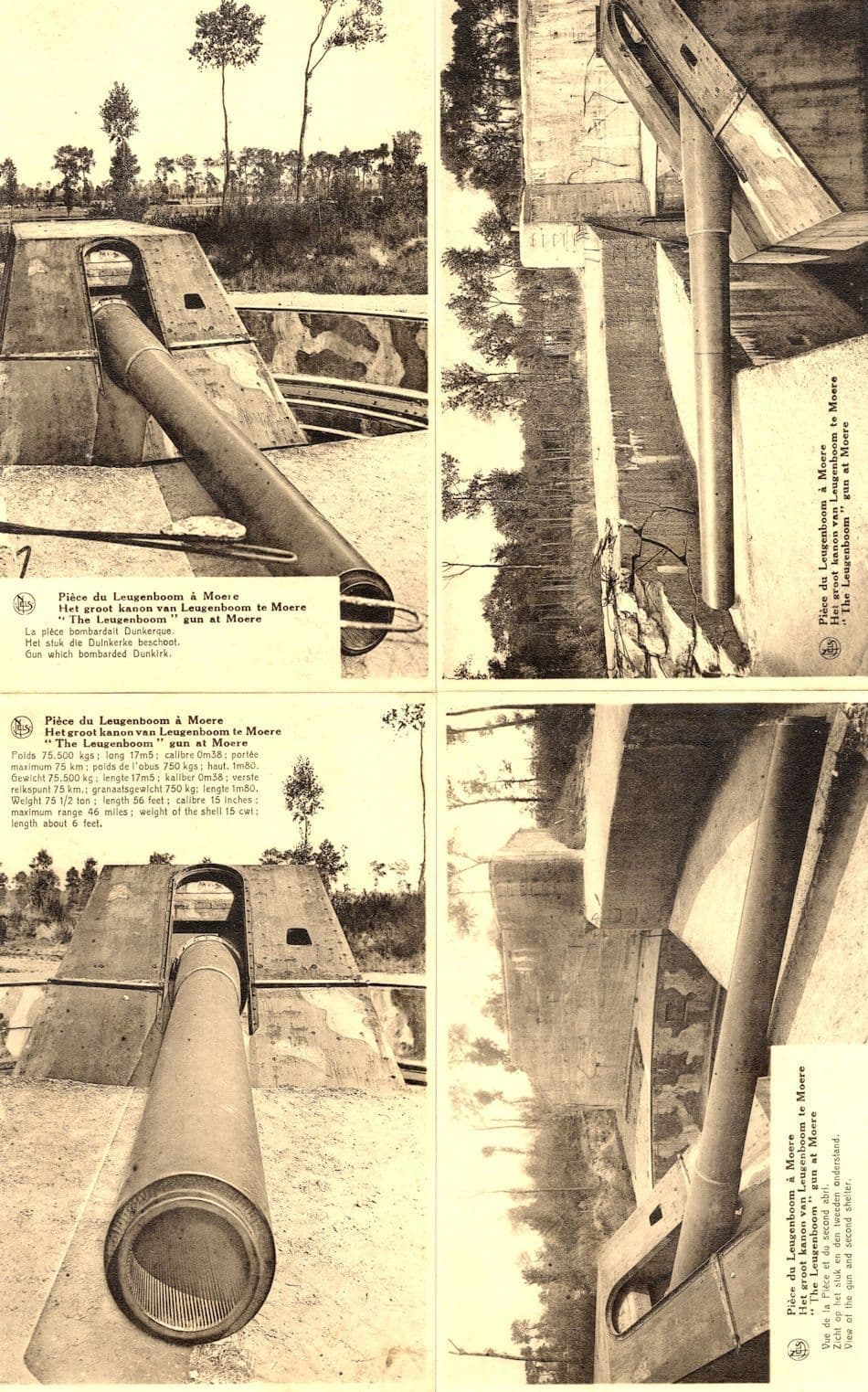 The Leugenboom A Moere WW1 Shelter 4x Mint Old Postcard s