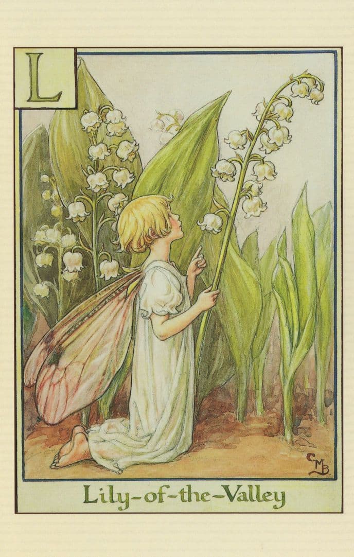 The Lily Of The Valley Fairy Of Vintage Book Flower Fairies Painting Postcard