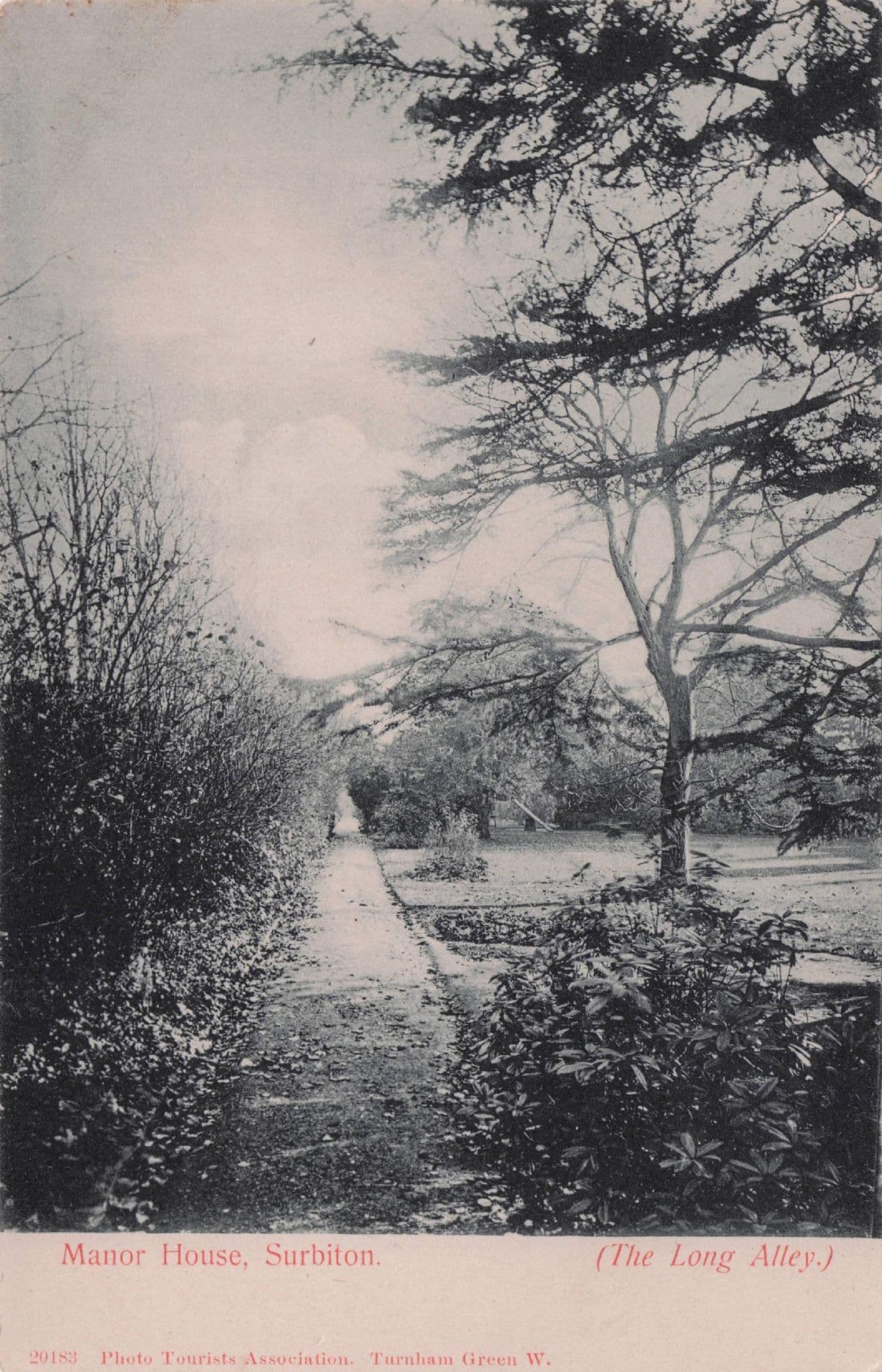 The Long Alley at Manor House Surbiton Surrey Rare Old Postcard