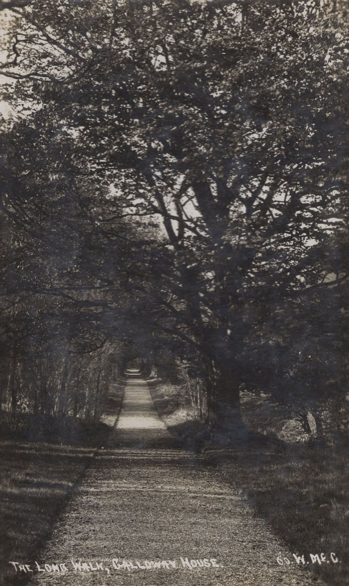 The Long Walk Galloway House Old Scottish Real Photo Postcard