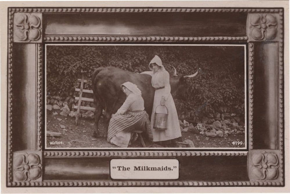 The Milkmaids Milking A Cow Farming Real Photo Old Postcard