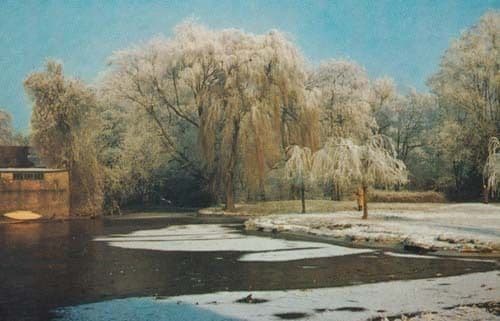 The Mill Pond Christmas Snow Newnham Frost Xmas Cambridge 1973 Postcard