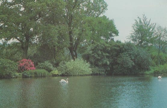 The Old Fish Ponds Cadhay Ottery St Mary Devon Village Postcard
