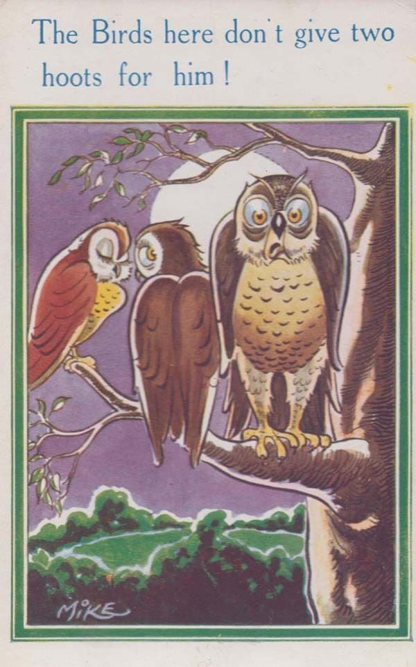 The Owl Owls Dont Give Two Hoots For Him Antique Birds Comic Humour Postcard