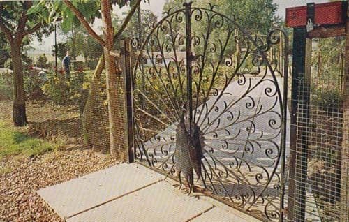 The Peacock Gates Bird Sanctuary Pettitts Reedham Norfolk Entrance Postcard
