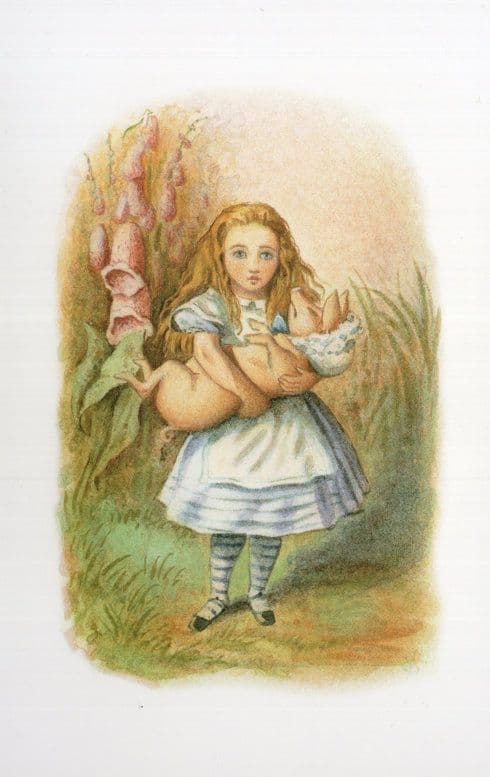 The Pig Alices Adventures In Wonderland 1911 Book Postcard