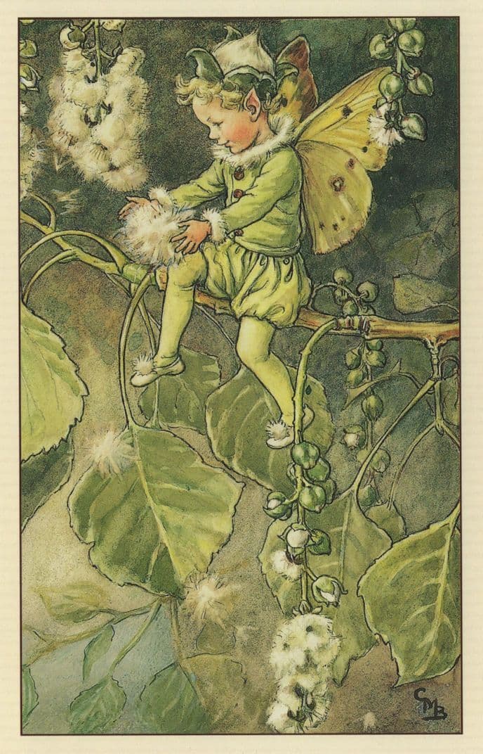 The Poplar Flower Fairy from WW2 Book Stunning Postcard