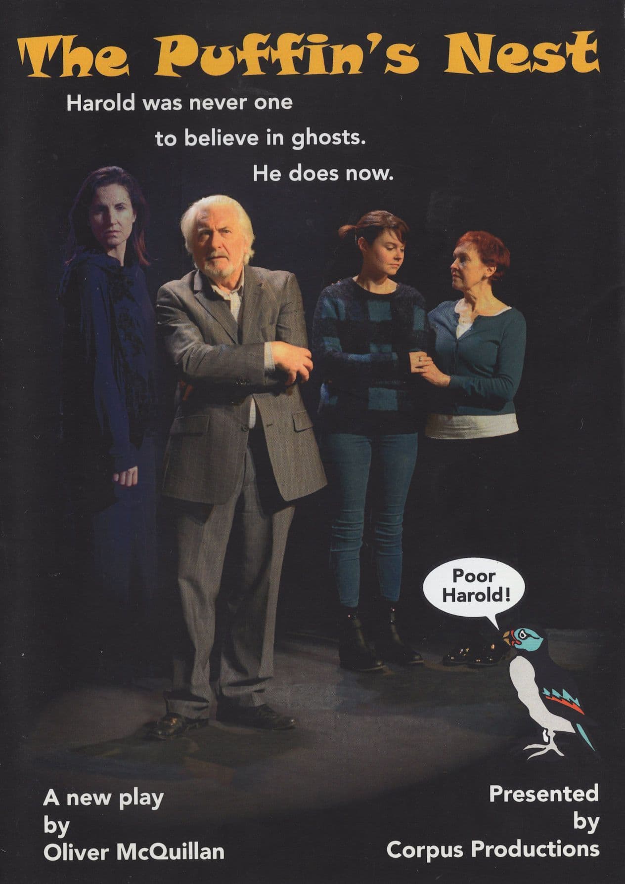 The Puffins Nest Dublin Bay Haunted House Ghost Story Theatre Booklet