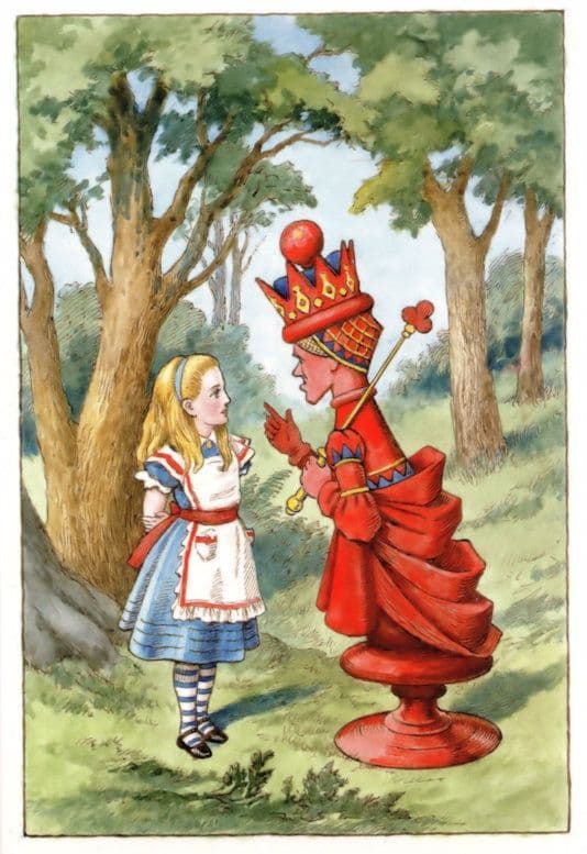 The Red Queen Garden Of Wild Flowers Alice In Wonderland Postcard