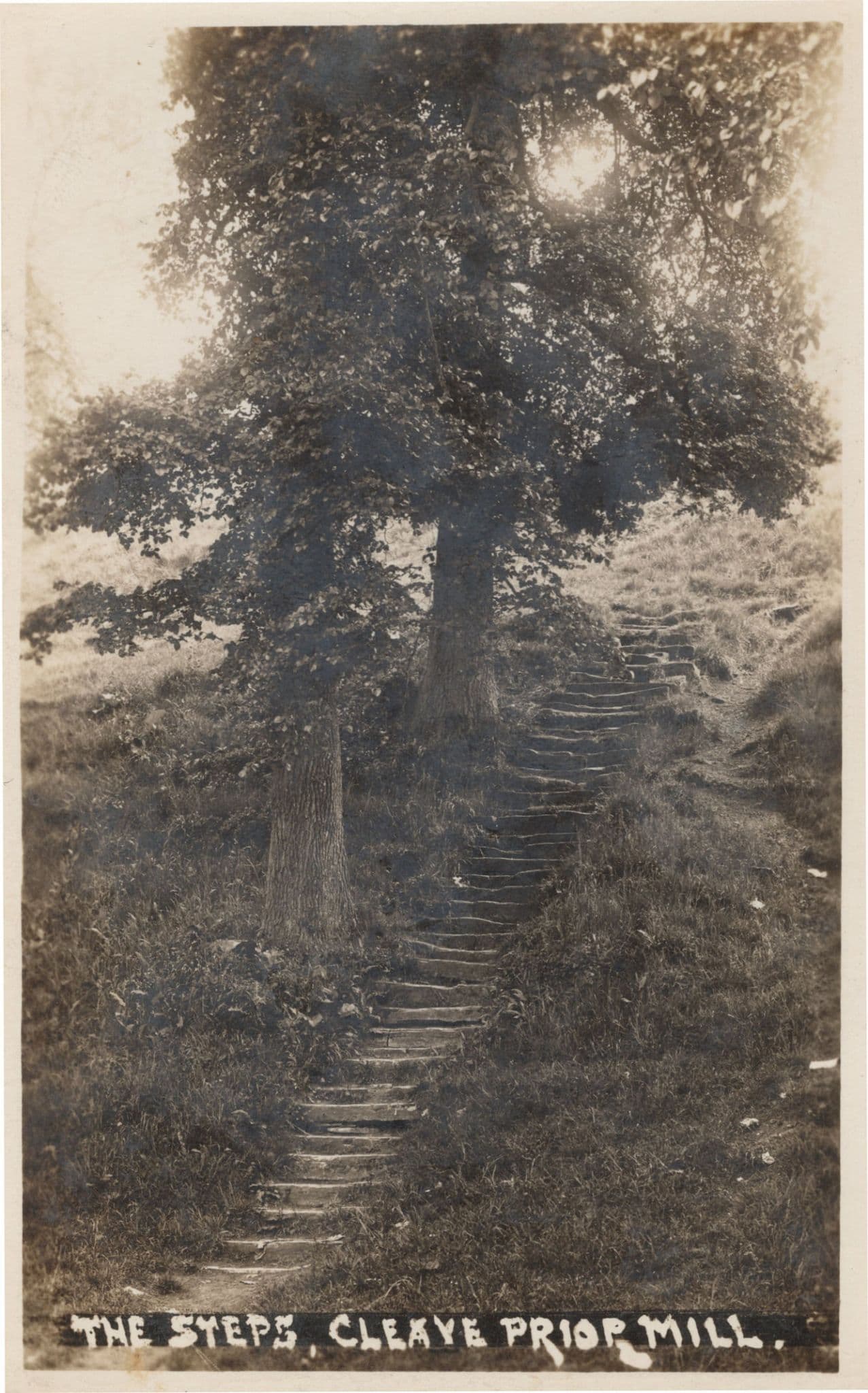 The Steps at Cleave Mill Devon RPC Rare Old Photo Postcard