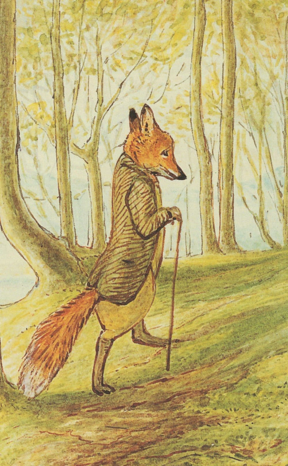 The Tale Of Mr Tod In Woods 1912 Beatrix Potter Postcard