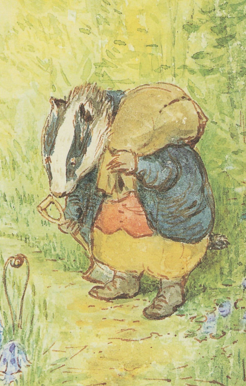 The Tale Of Mrs Tod 1912 Beatrix Potter Book Postcard