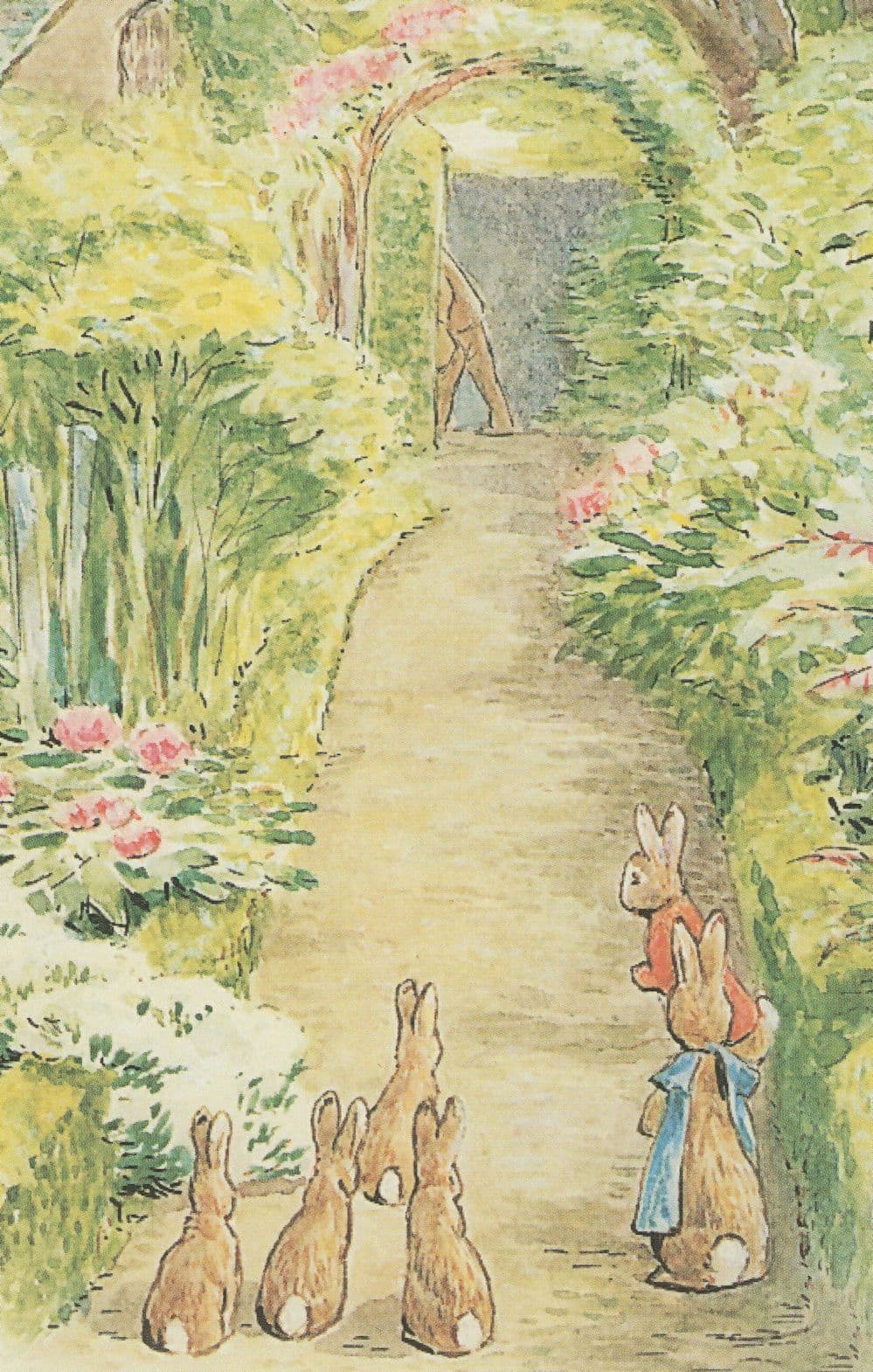 The Tale Of The Flopsy Bunnies 1909 Beatrix Potter Book Postcard