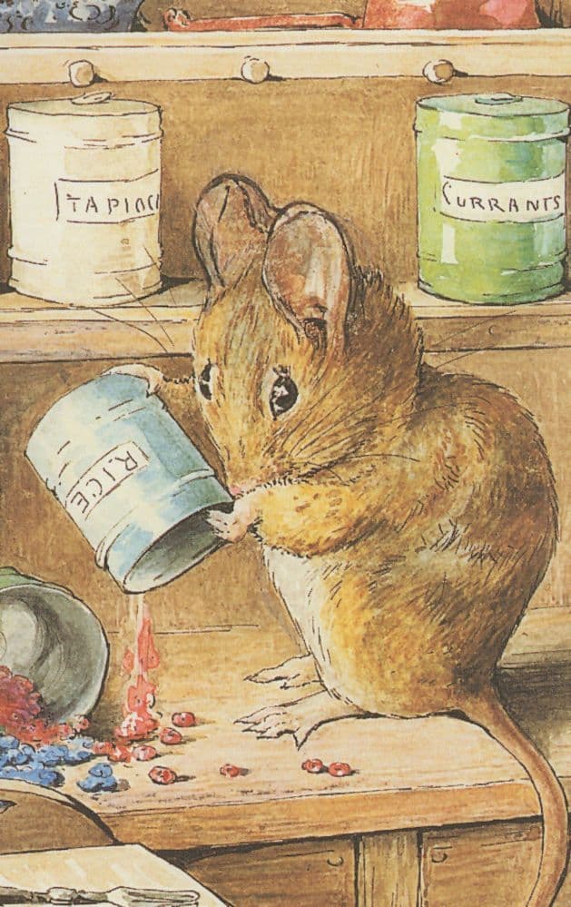 The Tale of Two Bad Mice Hunca Munca Beatrix Potter Book Postcard