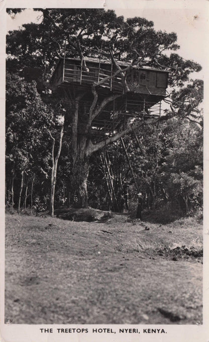 The Treetops Hotel Kenya Old RPC Africa Postcard & Message