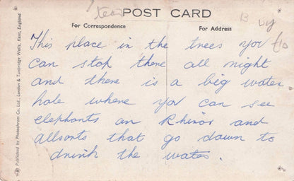 The Treetops Hotel Kenya Old RPC Africa Postcard & Message