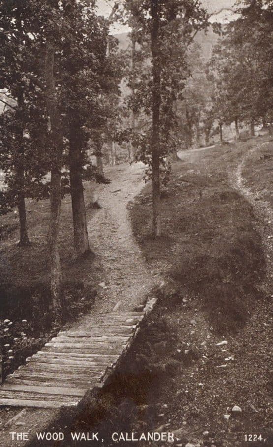 The Wood Walk Callander Antique Postcard