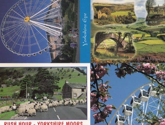 The Yorkshire Eye Wheel Magic Of The Moors Rush Hour Sheep 4x Superb Postcard s
