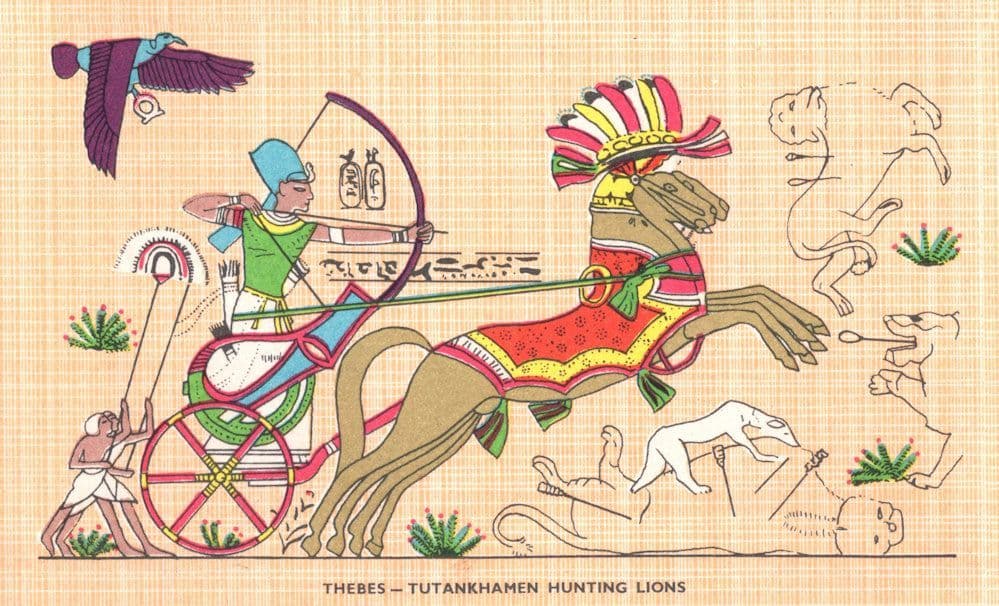 Thebes Tutankhamen Hunting Lions Antique Egyptian Postcard