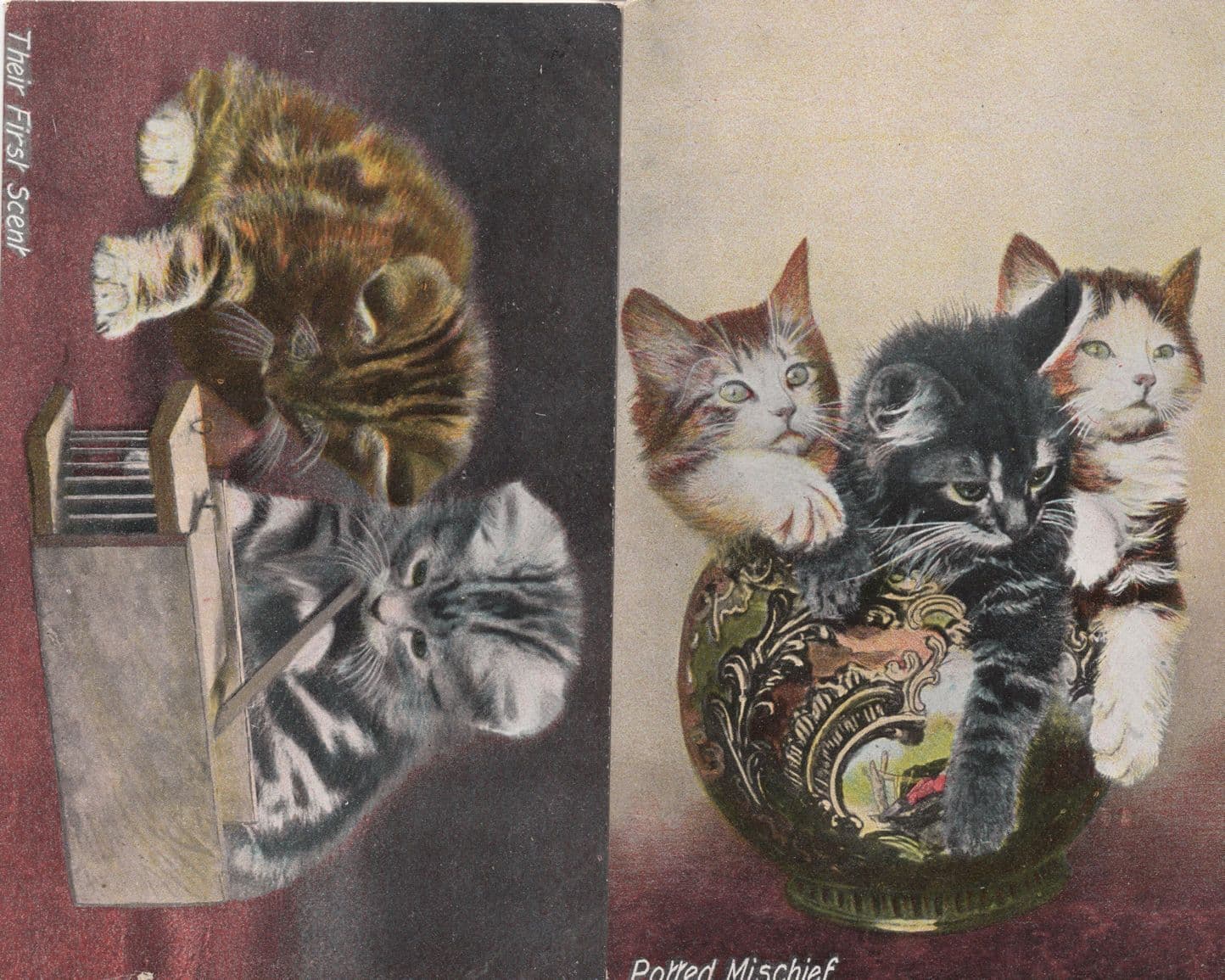 Their First Scent Potted Mischief 2x JWB Cat Old Postcard s