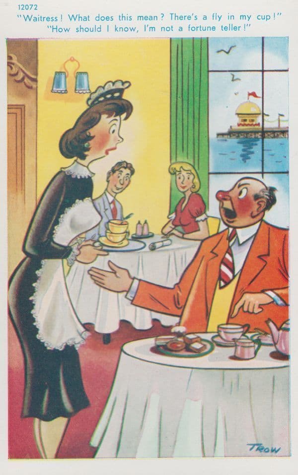 There's A Fly In My Soup Sexy French Maid Waitress Seaside Humour Comic Postcard