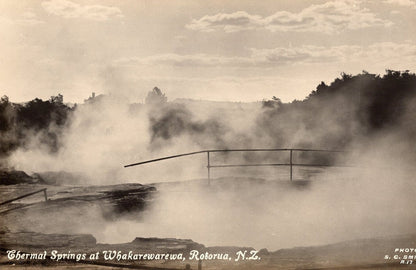 Thermal Springs at Whakawarewa Real Photo New Zealand Postcard