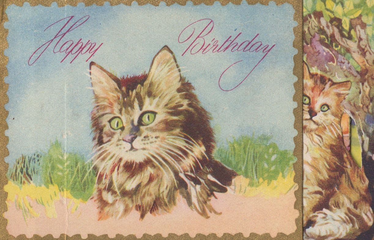 Three Layered Cat Cats Antique Amazing Greetings Old Postcard