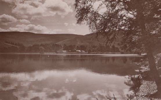 Tibbies From St Marys Loch Mint Vintage Real Photo Postcard