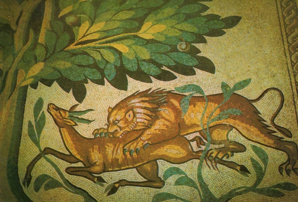 Tiger Killing Deer Roman Hisham Palace Jericho Mosaic Floor Israel Postcard