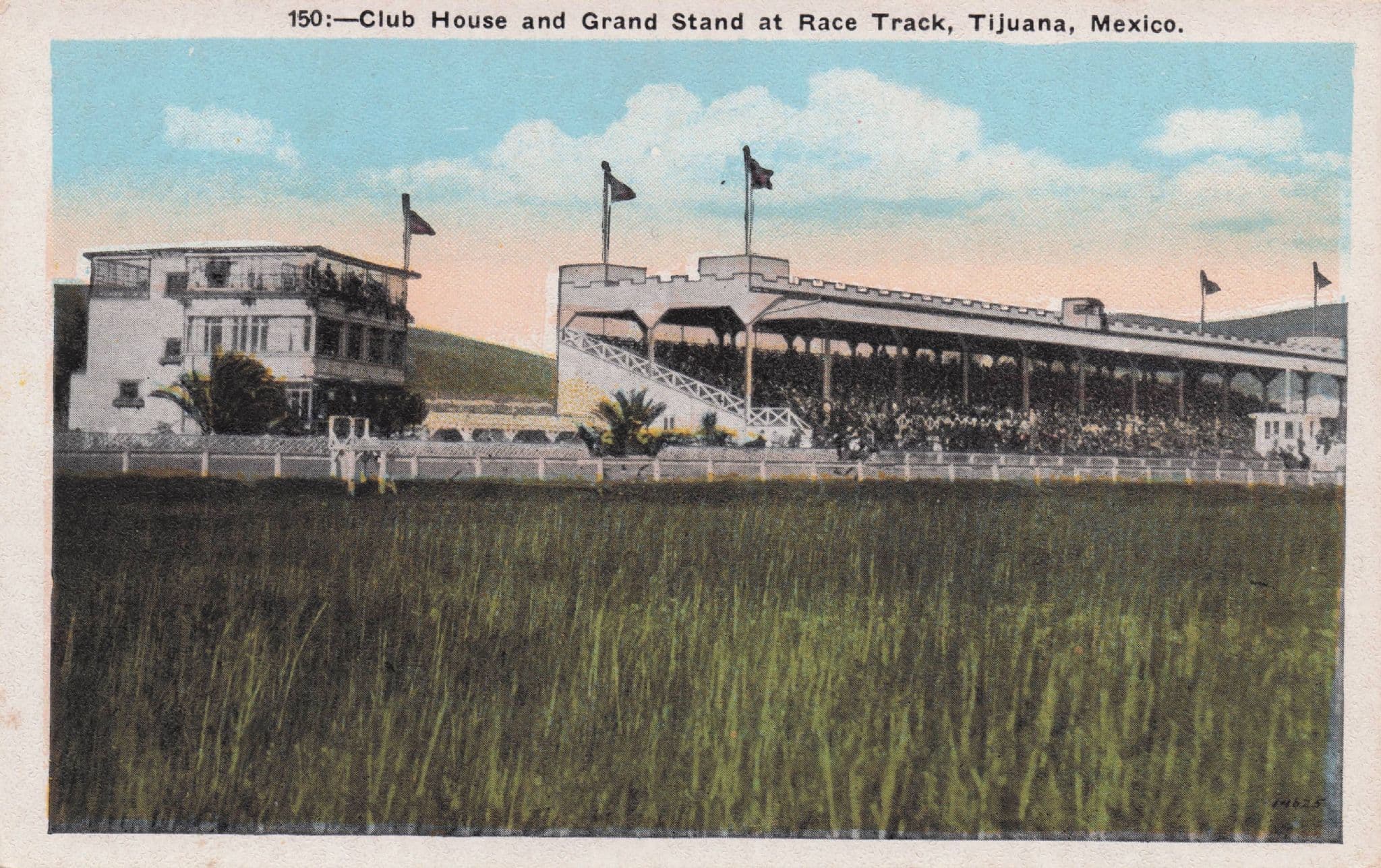 Tijuana Race Track Club House Grand Stand Mexico Old Postcard