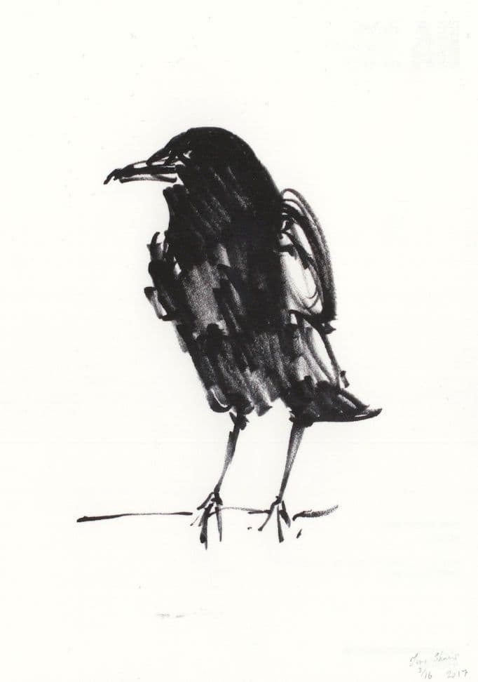 Tim Shaw Raven Bird Felt Tip Pen Painting London Gallery Postcard