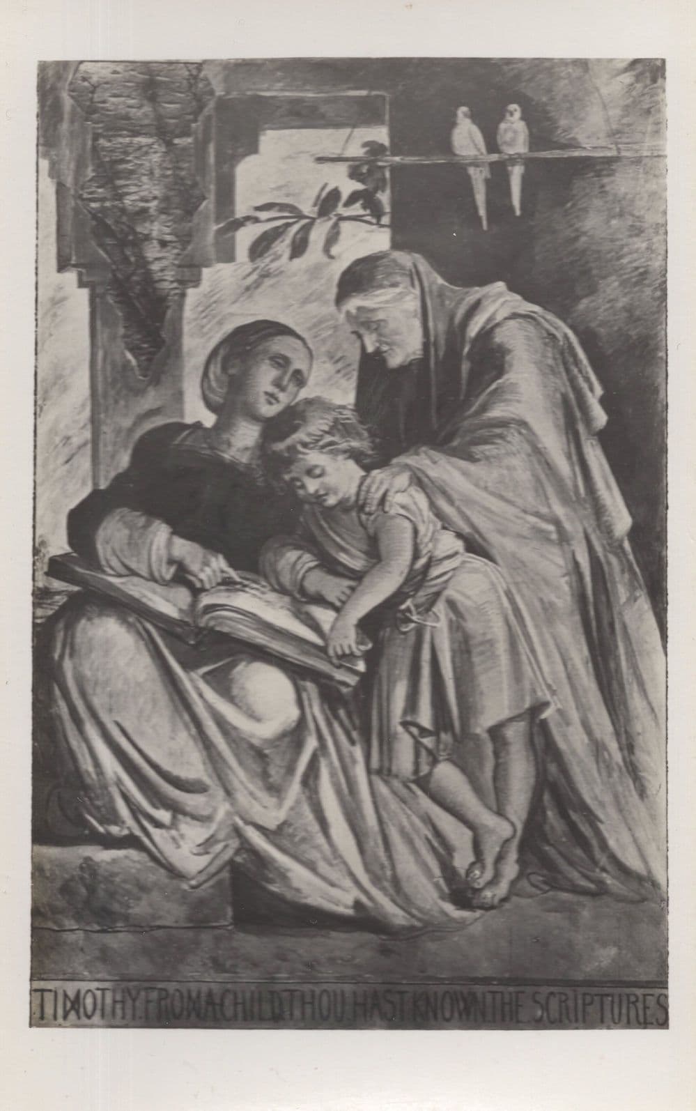 Timothy Disciple Book Of The Scriptures Religious RPC Postcard