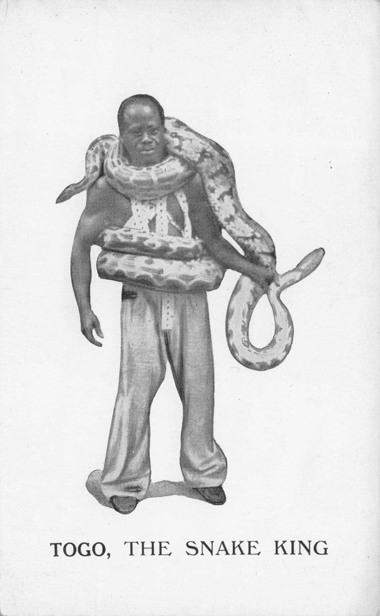 Togo The Snake King Charmer Tamer African Old Advertising PB Postcard