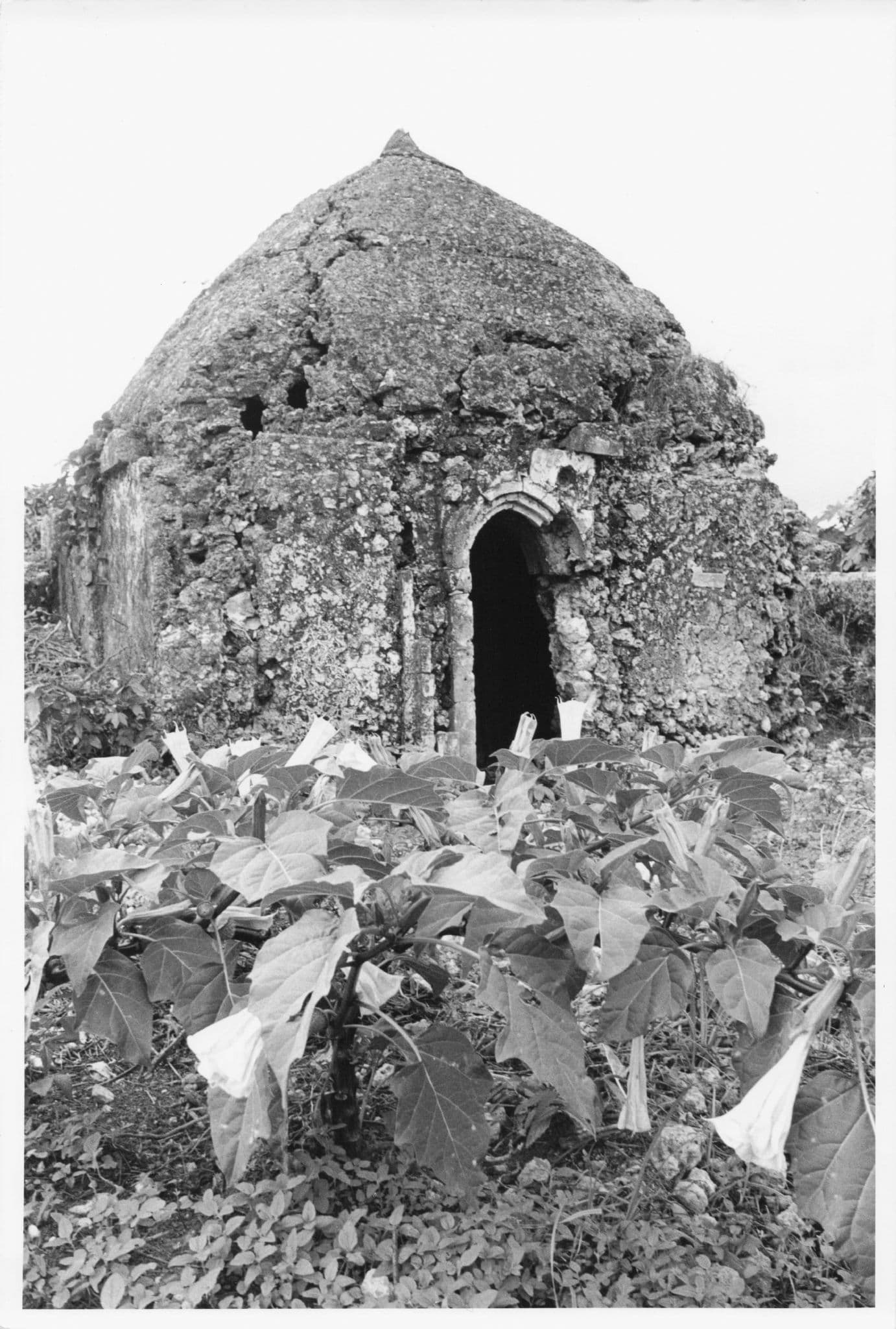 Tombs Ruins Sheikh Pete Island Kenya 9x7 African Press Photo