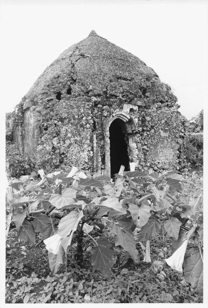 Tombs Ruins Sheikh Pete Island Kenya 9x7 African Press Photo