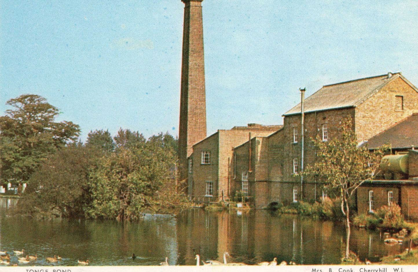 Tonge Huge Factory Chimney Pond Sittingbourne Kent Rare Postcard
