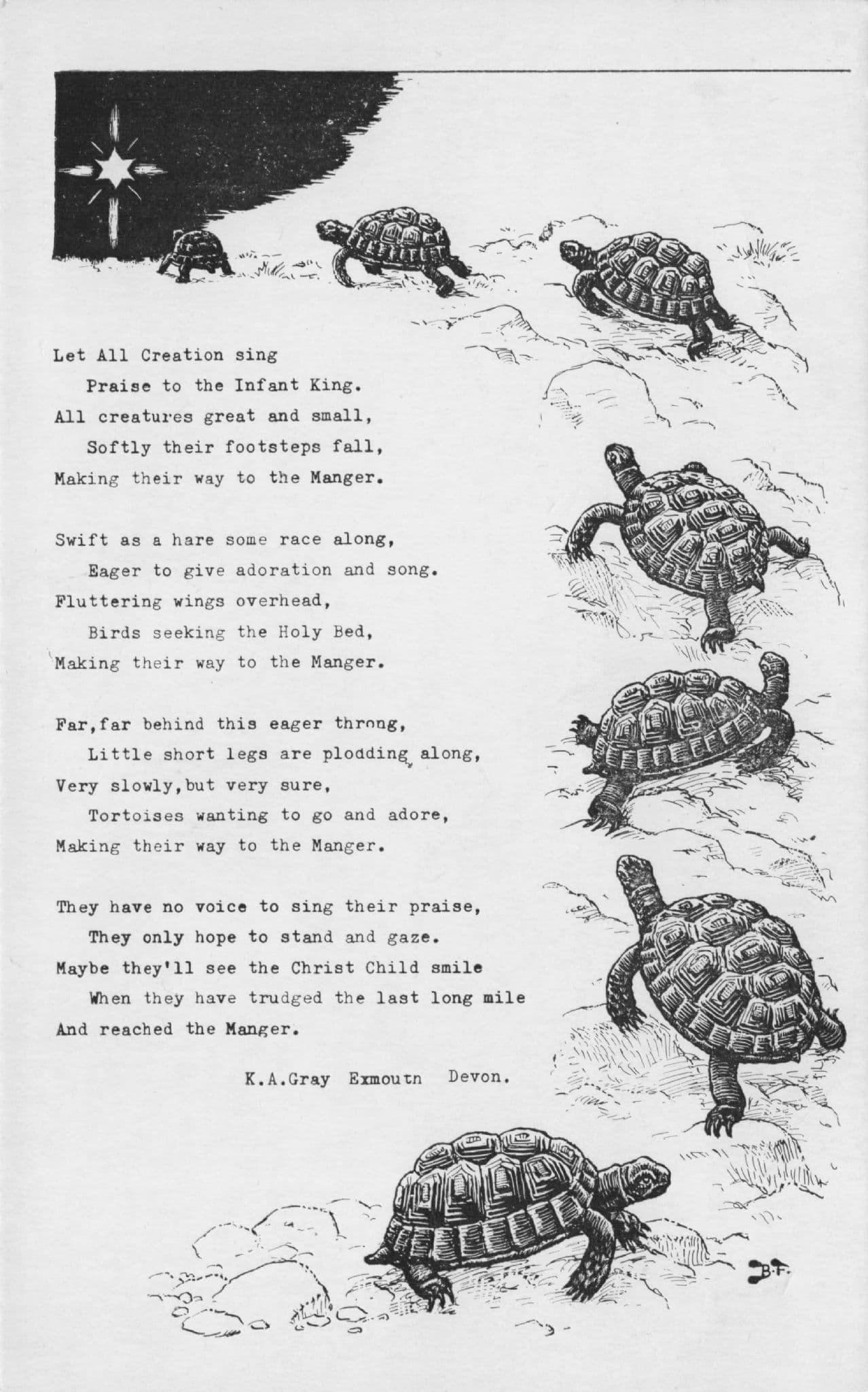 Tortoises Travelling To Manger Nativity Xmas Devon Vintage Postcard