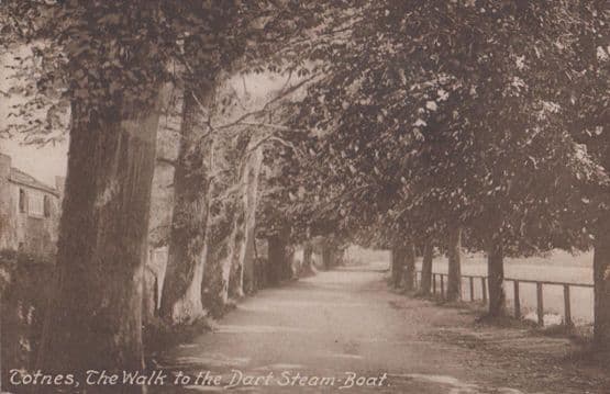 Totnes Devon Walk To The Dart Steam Boat Ship Antique Postcard